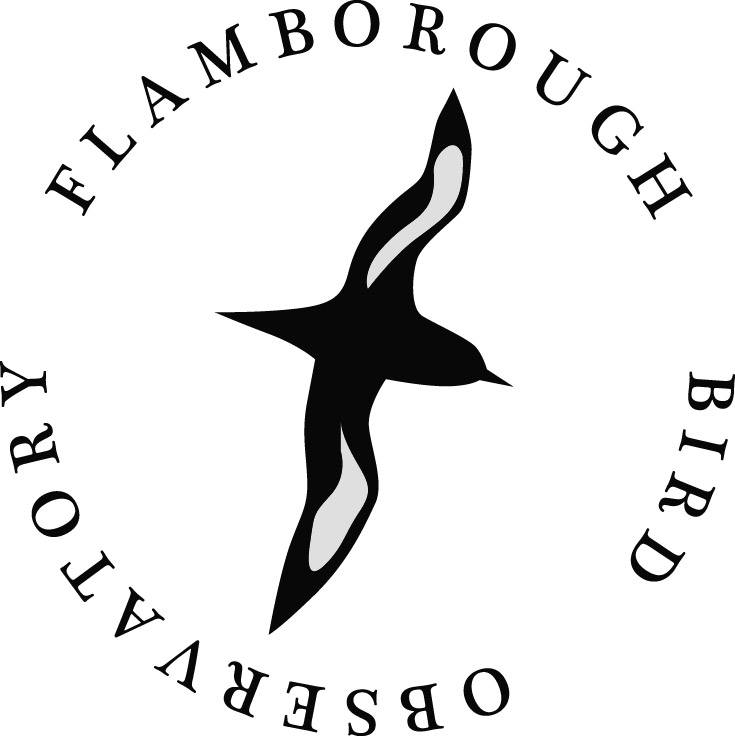 Flamborough Bird Logo 